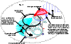 fig.11